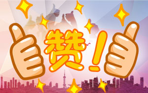 客戶盛贊：“你們的服務態(tài)度真是行業(yè)******！”