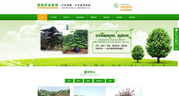 長沙市雨花區(qū)宏景苗木場