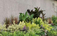 不看不知道，客戶這一年又做了這么多園林項目！